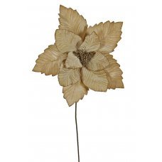 Χριστουγεννιάτικο Λουλούδι Αλεξανδρινό Λευκό του Πάγου